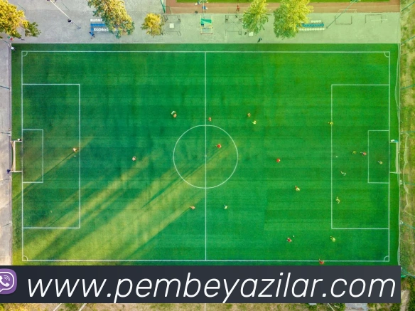 全球热力图